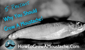 5 Reasons Why You Should Grow A Moustache