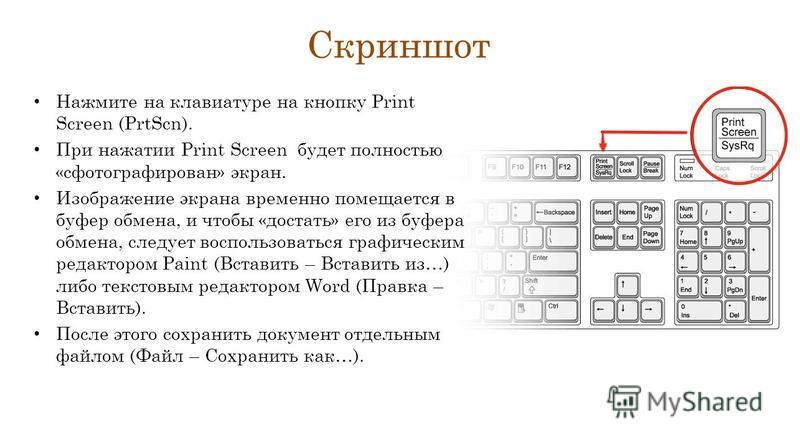 Как скопировать изображение с экрана компьютера и вставить