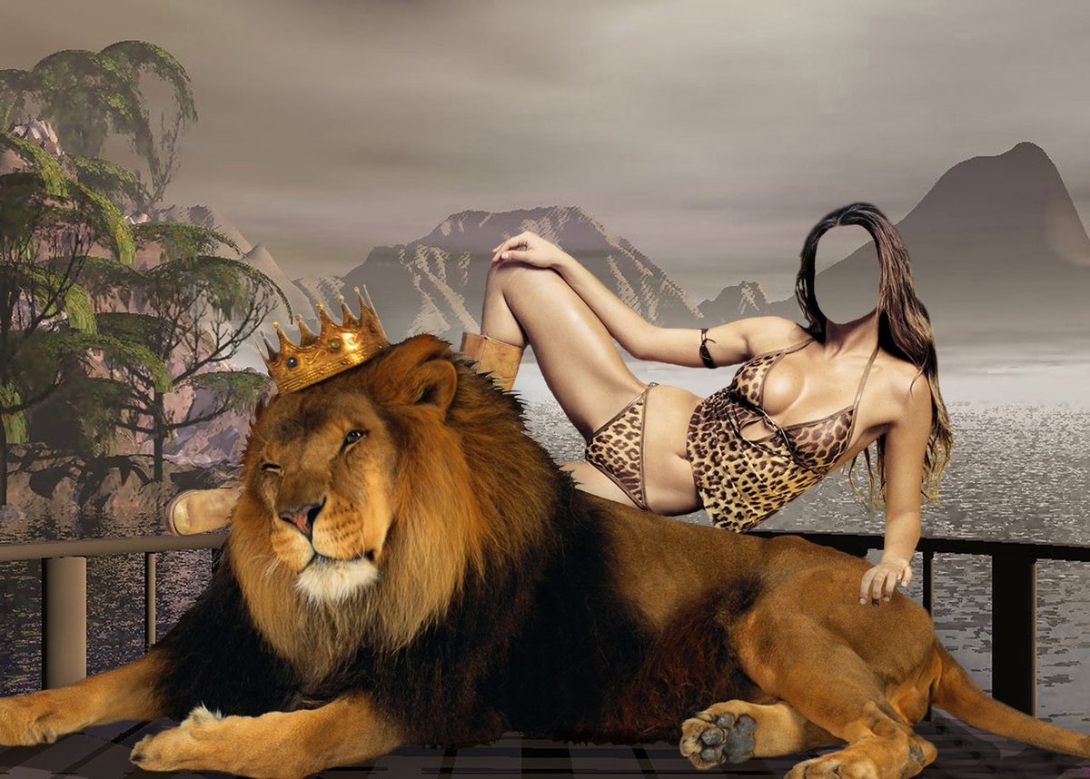 Животные с телками. Девушка и Лев. Тигр и девушка. Фотосессия со львом. Девушка львица.