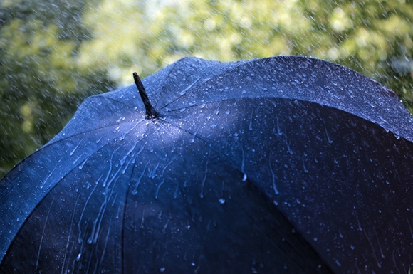 Как выбрать мужской зонт 5 полезных советов – Материал купола зонта