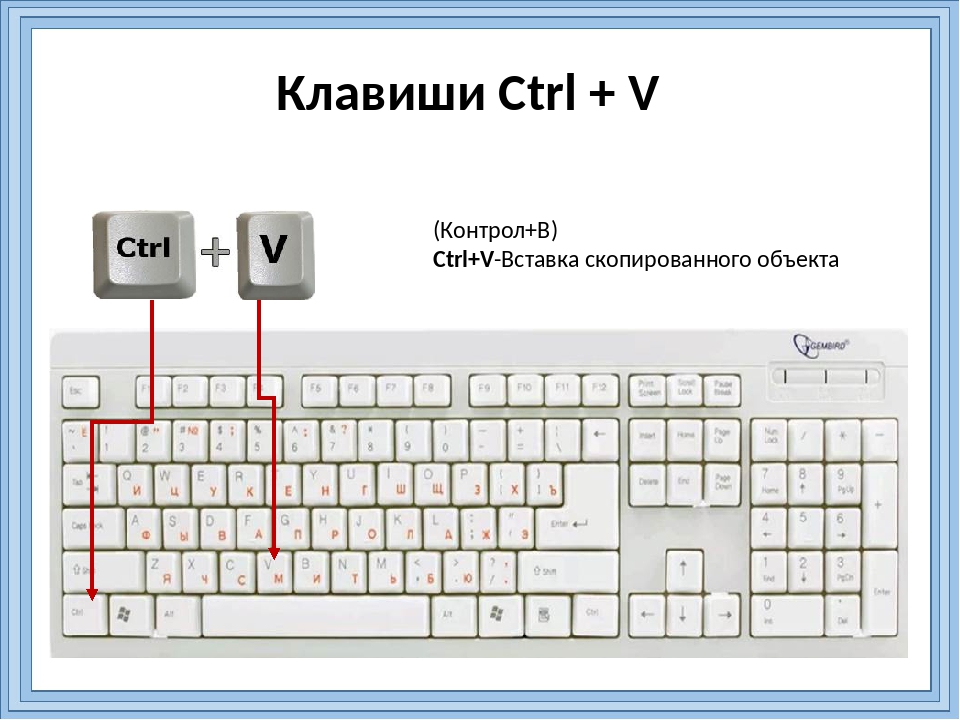 Чтобы сохранить пропорции картинки при перетаскивании маркера следует нажать и удерживать клавишу