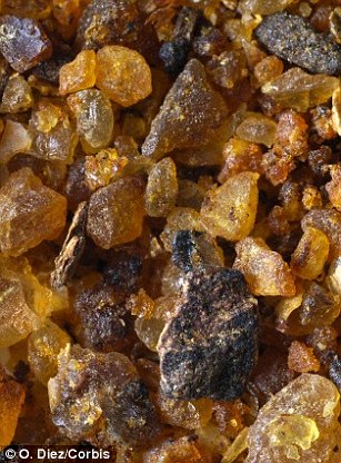 The earliest perfumes comprised incense, myrrh, frankincense, cinnamon, sugar cane and flowers
