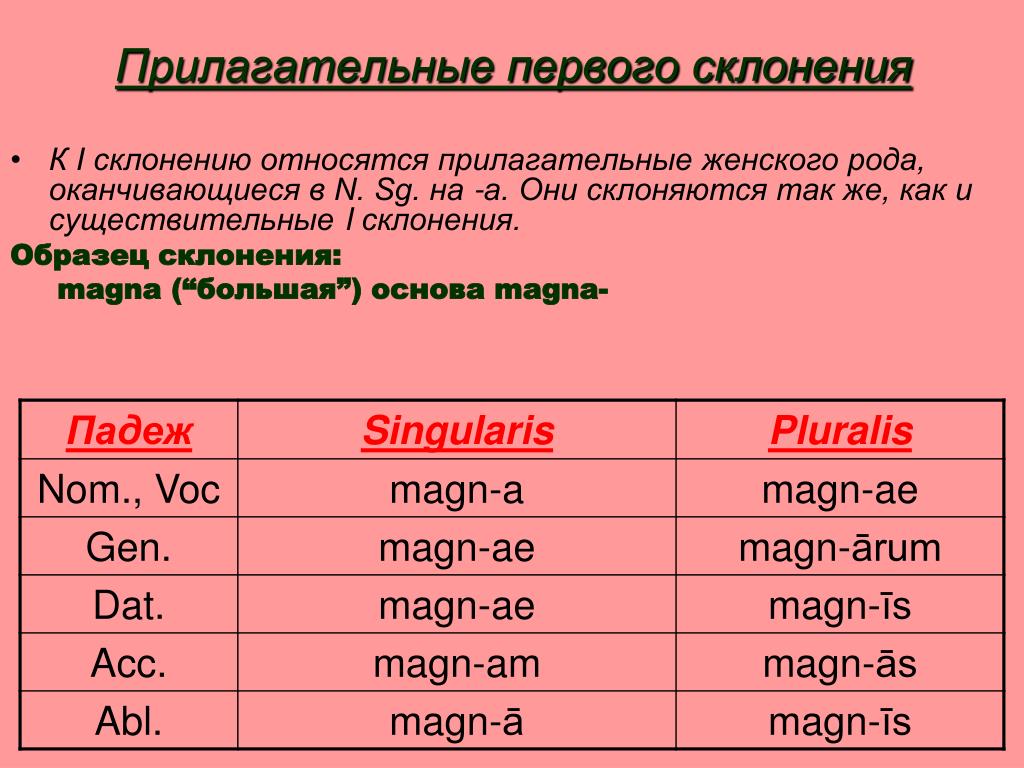 Хорошие прилагательные для девочки: Прилагательные комплиментыдевушке