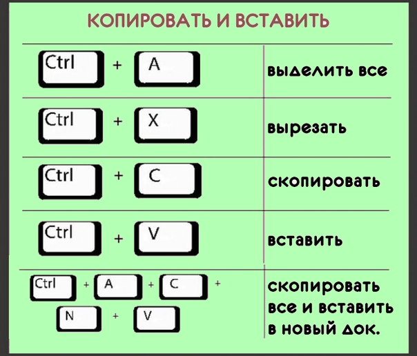 С помощью какой клавиши. Как на компьютере вставить скопированный текст с помощью клавиатуры. Как Скопировать текст с помощью клавиатуры. Как Копировать клавишами на клавиатуре. Как вставить скопированный текст с помощью клавиатуры на ноутбуке.