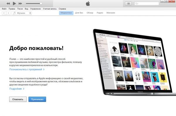 Стартовое окно программы iTunes