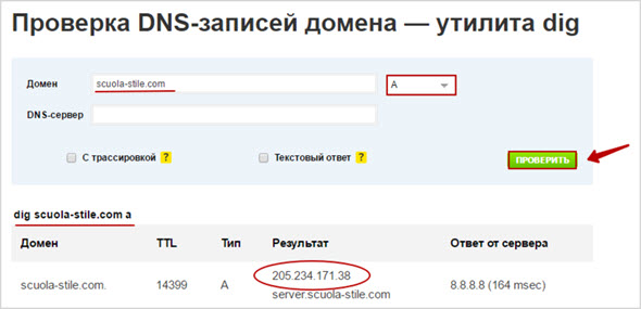 проверка dns