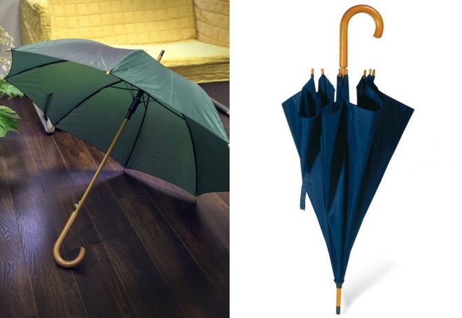 umbrella cane with wooden handle